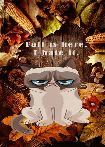 Grumpy Cat Hates Fall - Doorfoto Door Decor