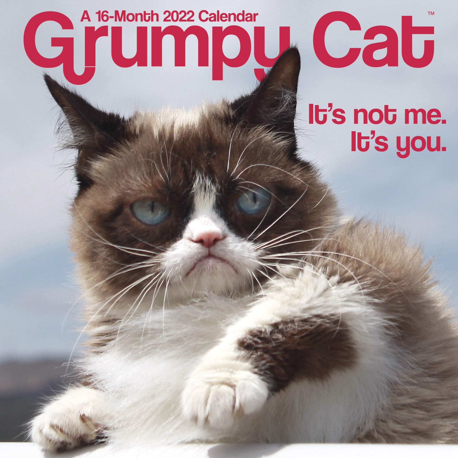 grumpy cat never forget( angry cat meme)' Lunch Bag