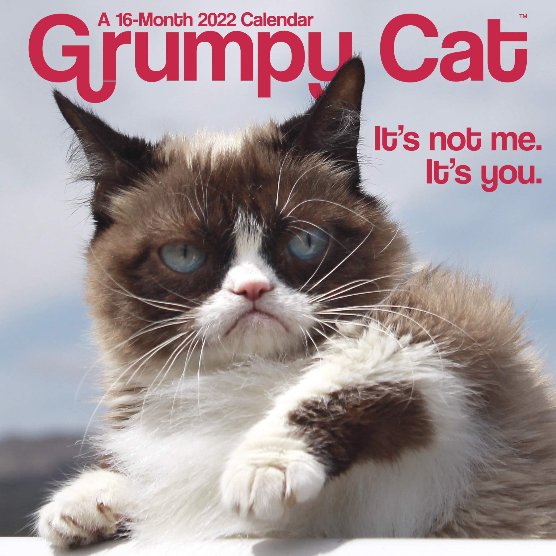 Grumpy Cat 2022 Mini Wall Calendar Grumpy Cat 