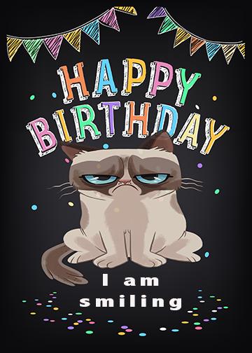 Grumpy Cat Birthday Meme - Doorfoto Door Decor