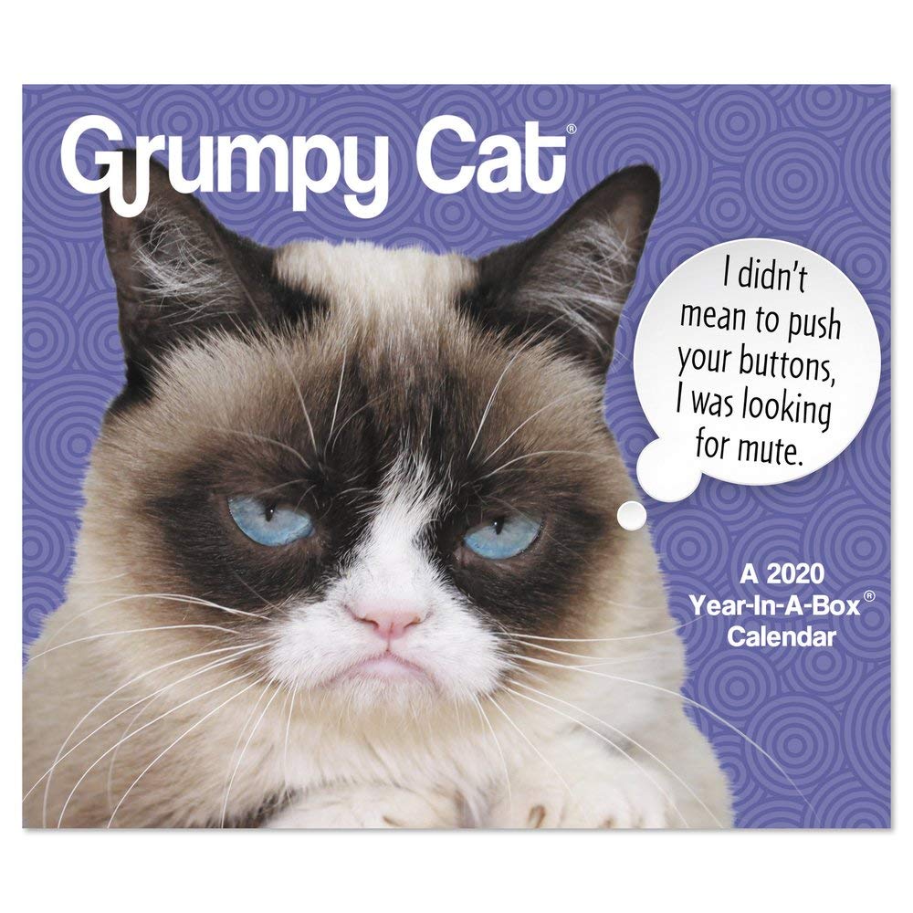 Grumpy Cat Year In A Box Calendar Grumpy Cat