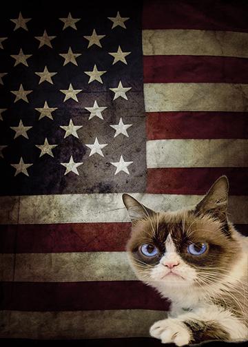 Grumpy Cat Flag - Doorfoto Door Decor