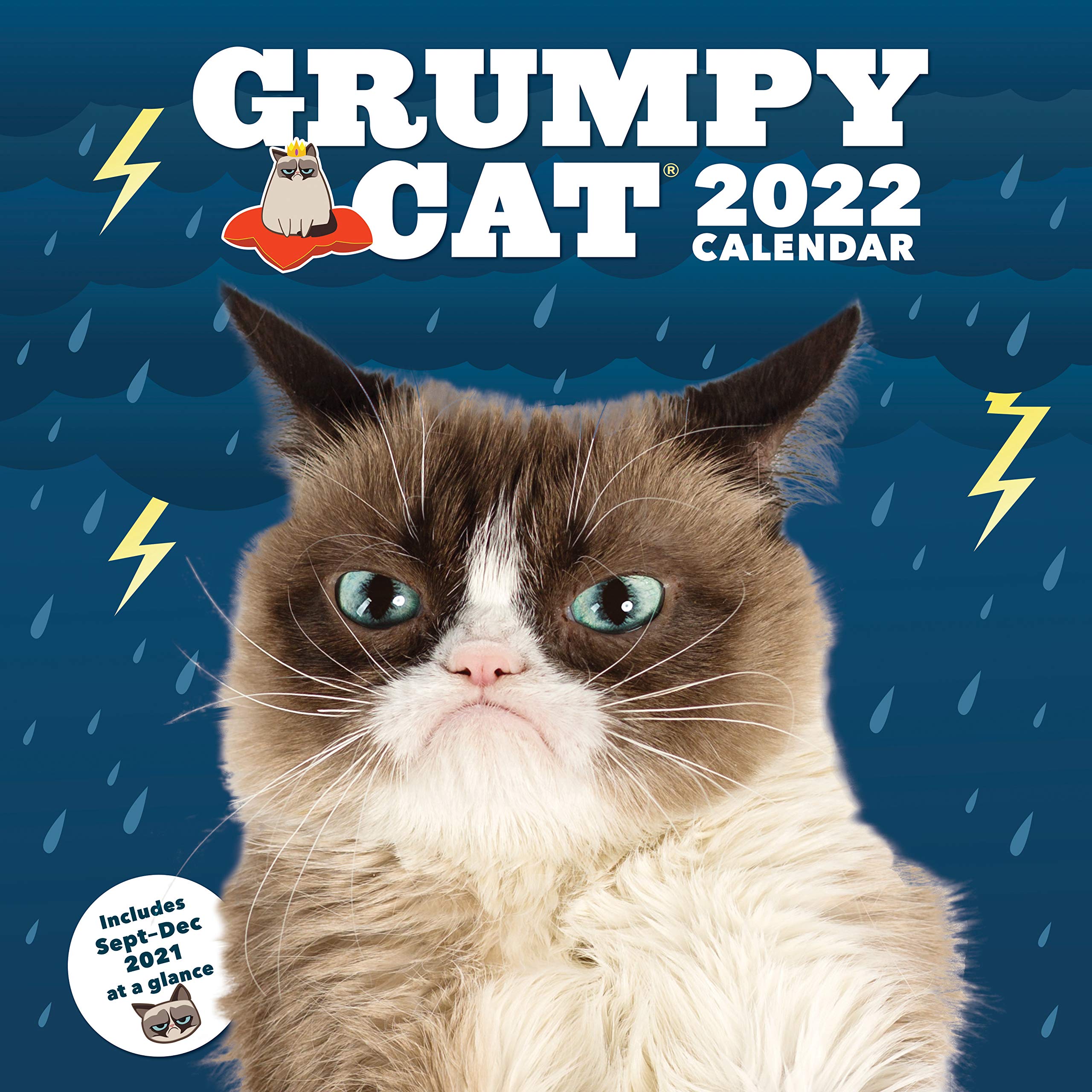 Grumpy Cat 2022 Full Sized Wall Calendar