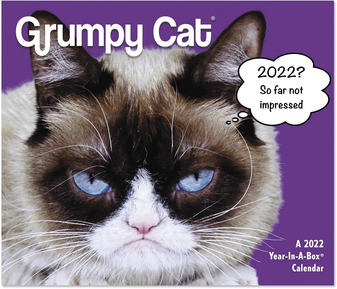 Angry Cat 2021 Wall Calendar