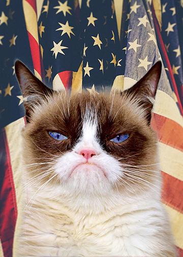 Patriotic Grumpy Cat - Doorfoto Door Decor