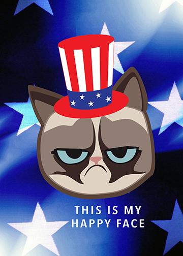 Grumpy Cat Patriotic Face - Doorfoto Door Decor