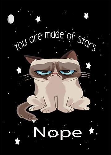 grumpy cat nope meme