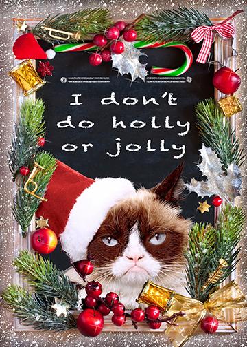 grumpy cat christmas pictures