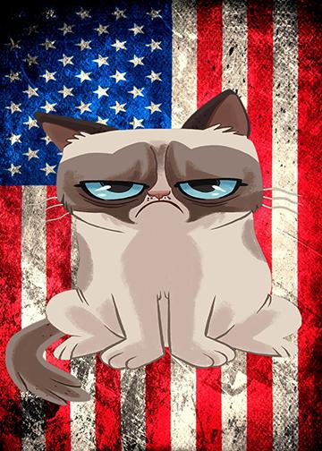 American Grumpy Cat - Doorfoto Door Decor